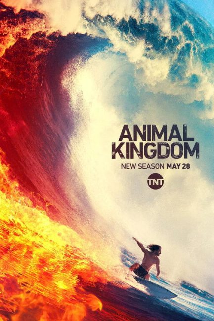 مسلسل Animal Kingdom الموسم الرابع الحلقة 8 مترجمة