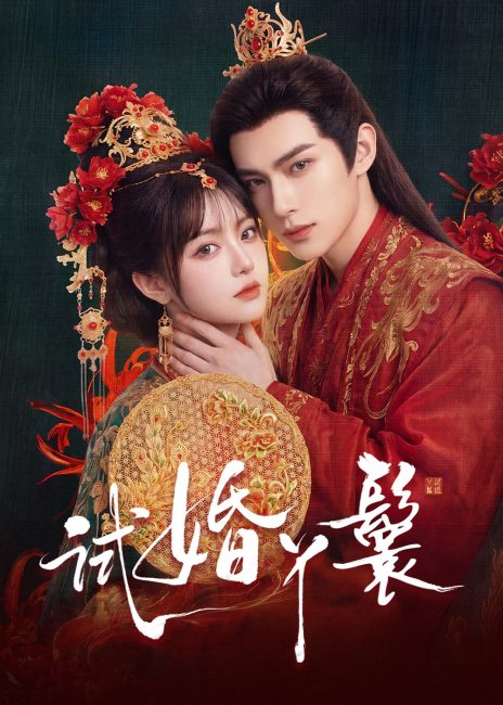 مسلسل خادمة المحاكمة The Trial Handmaiden الحلقة 4 مترجمة